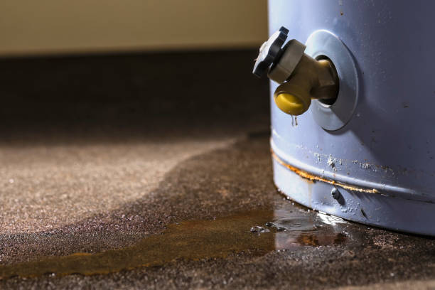 Best Carpet water damage restoration  in Southwest Ranches, FL