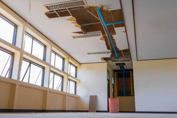 Best Water damage restoration process  in Southwest Ranches, FL
