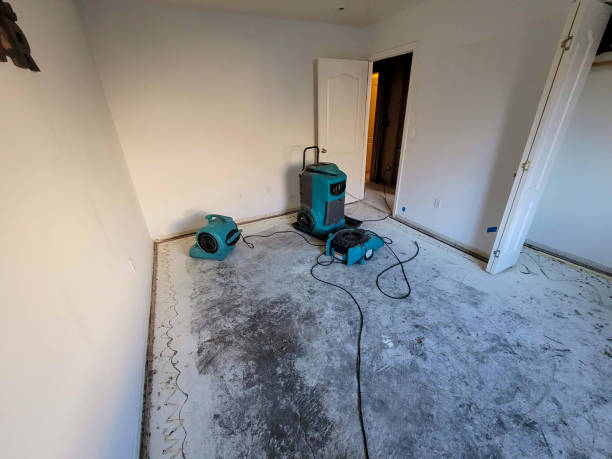 Best Professional water damage repair  in Southwest Ranches, FL