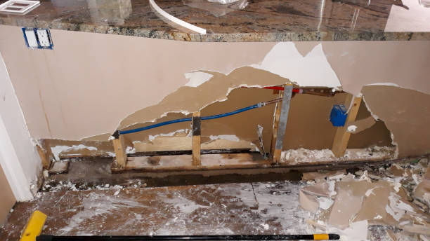  Southwest Ranches, FL Water damage restoration Pros