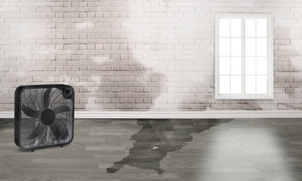 Best Commercial water damage restoration  in Southwest Ranches, FL