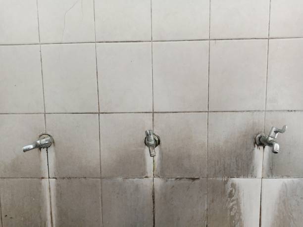 Best Fire Damage Restoration  in Southwest Ranches, FL