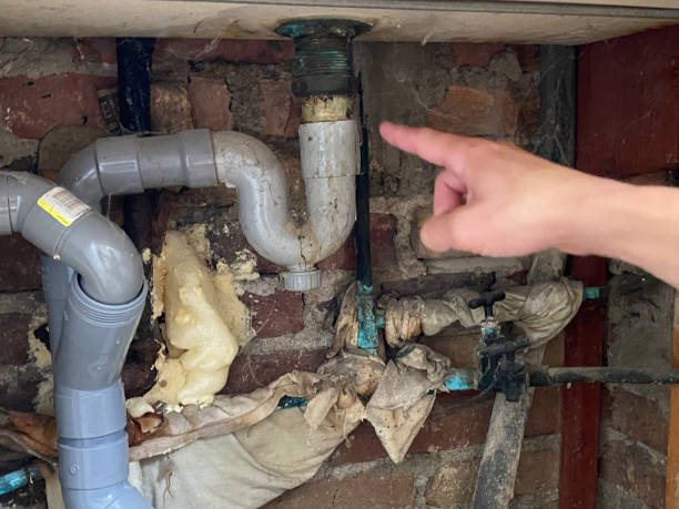 Best Water damage restoration near me  in Southwest Ranches, FL
